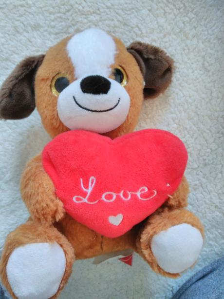 Plysovy psík zo srdieckom, 