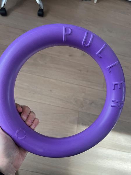 Ako správne používať puller pre psíka?