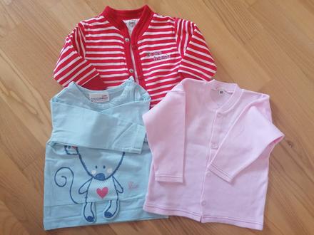 Tricka 68, coccodrillo,68