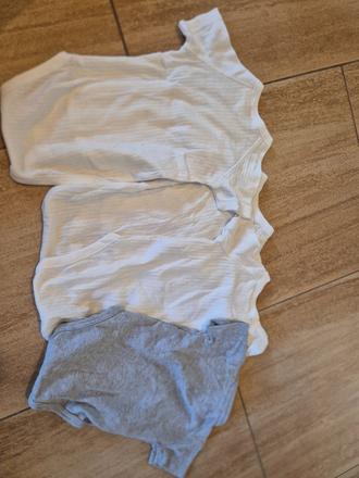 Krátke body 62, f&f,62