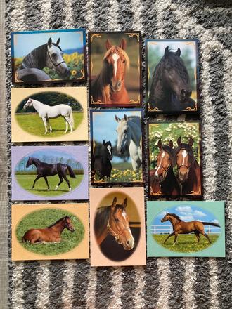 Pohľadnice koní nepopísané 10ks, 