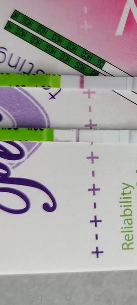 Čo si o tom myslíte?