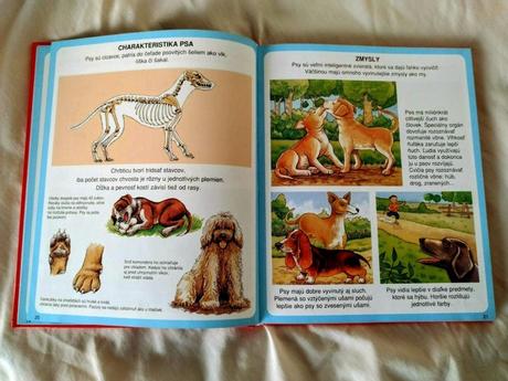 Obrázky domácich miláčikov,