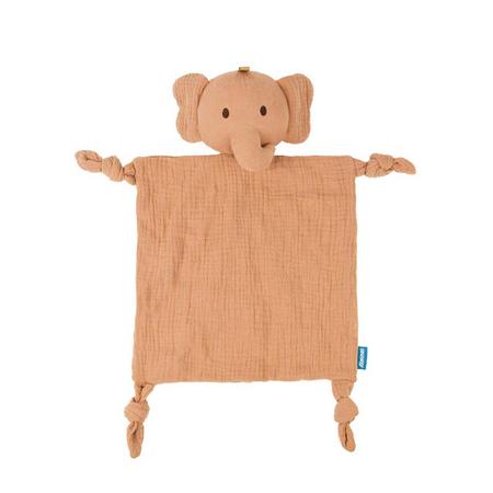Plienkový mojkáč zajačik alebo sloník, 