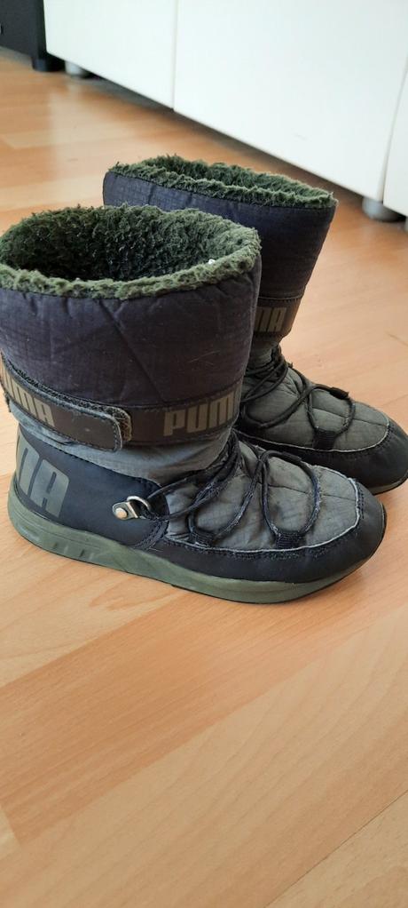Zimné pumy, puma,28