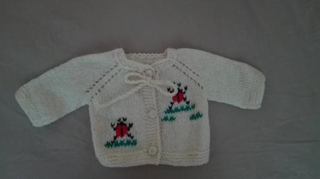 Košielka zimná , 56