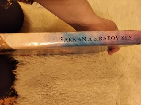 Šarkan a kráľov syn, 