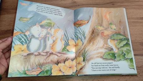 Kniha myška a burka výborný stav,