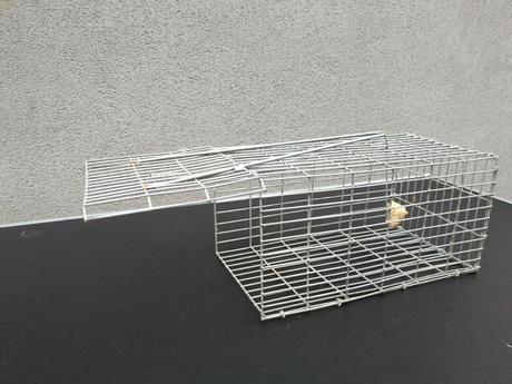 Pasca na potkany celokovová 30 x 17 x 15 cm,