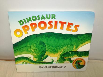 Paul stickland dinosaur opposites nwi18,