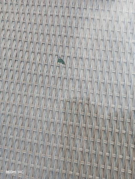 Balkónové sedenie, 