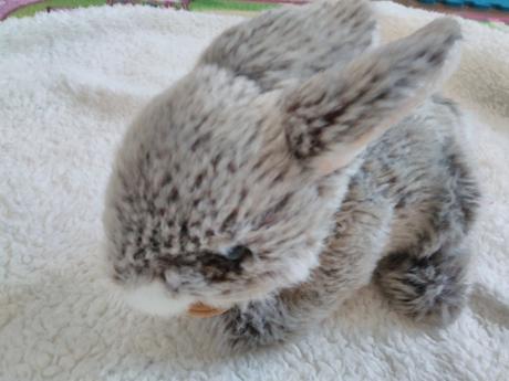 Plysovy zajačik  rappa_ novy, 