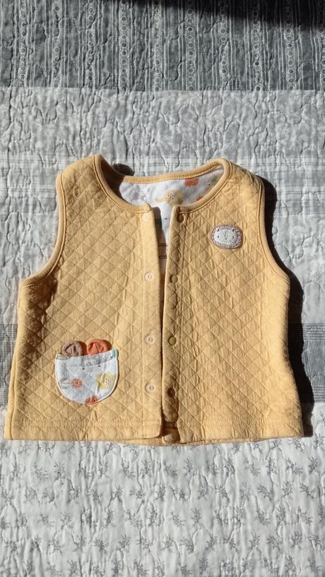 Žltá vesticka z korei, 86