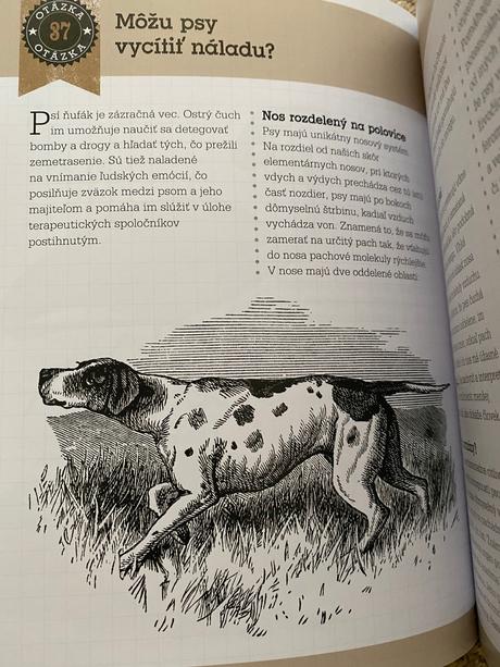 Vedeli ste otázky a odpovede ktoré vás zaskočia, 