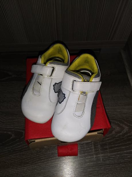 Puma ferrari, puma,23