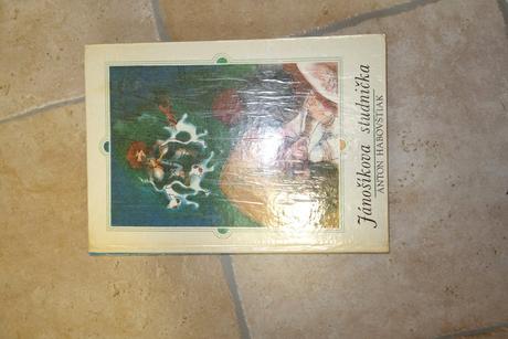 Jánošíková studňička dobrý stav, 