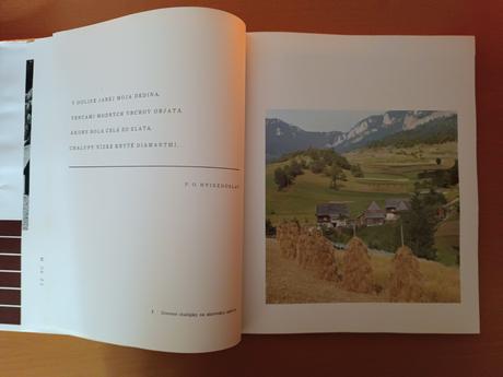 Drevené stavby na slovensku (1971),