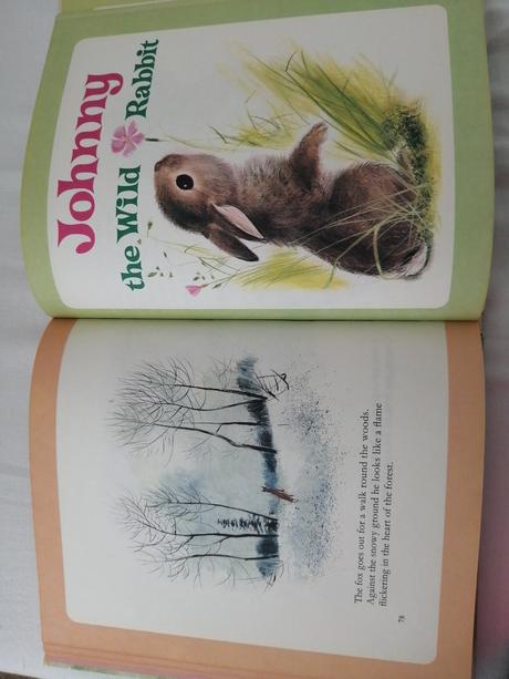 Anglická kniha - my little animal friends of the f, 