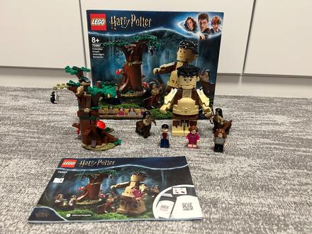 Lego harry potter 75967 zakázaný les,