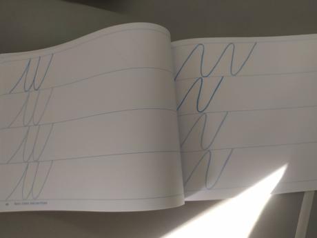 Pracovné zošity pre prváka, 