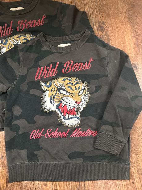 2ks mikiny zara tiger, 116