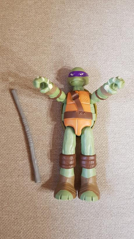 Ninja korytnačka, 
