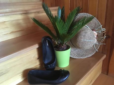 Baleríny, graceland,36