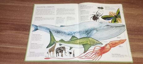 Zvieratá a ich svet, 