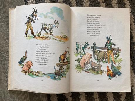 Div a zázrak (1981), 