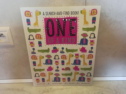 A search and find book one of a kind hb,