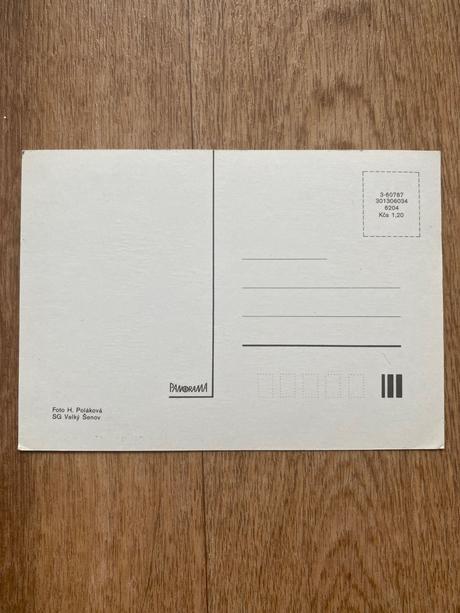 Historická ľudová pohľadnica vianočná, 