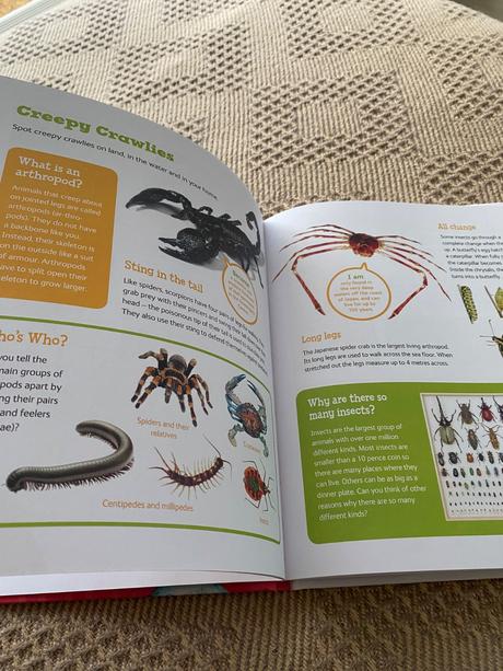 London natural history museum kids only, 