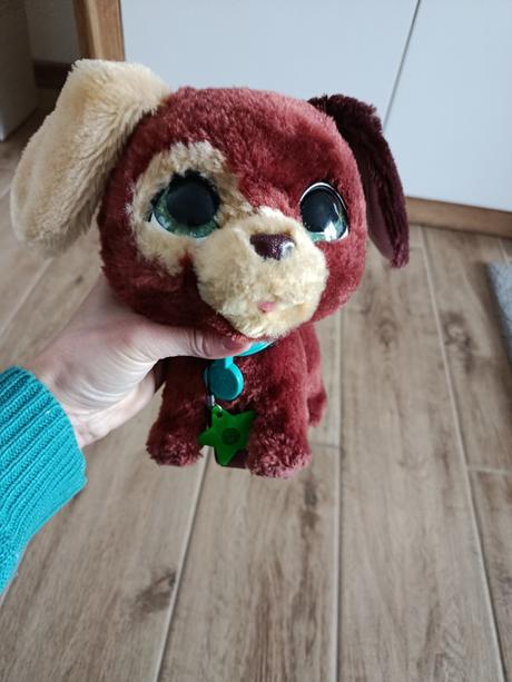 Interaktívny psík, 