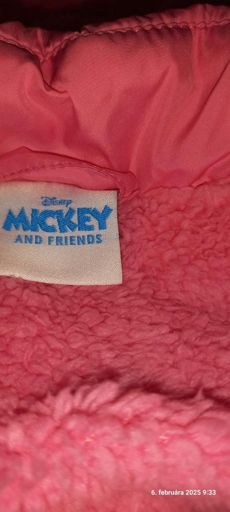 Bundicka minnie, disney,110