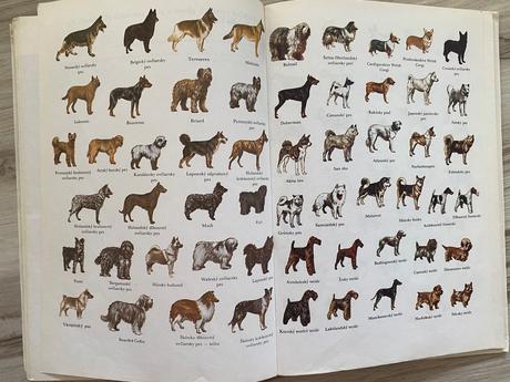 Starý retro atlas plemien psov,