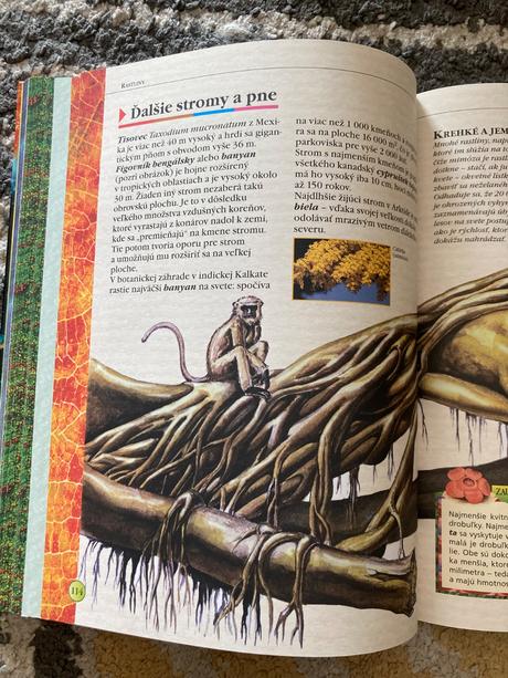 Svetové rekordy (2005), 