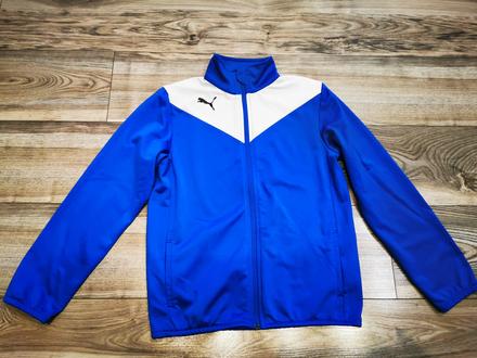 Mikuna, v. 152, puma,152