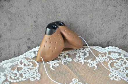 Nos havko-na karneval, 