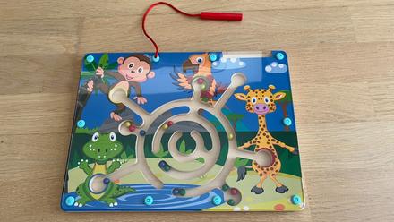 Magnetický labyrint džungľa, 