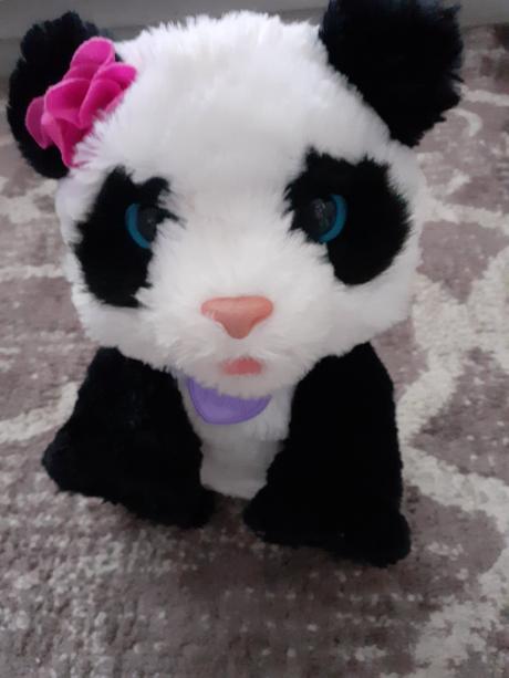 Interaktivna panda, 