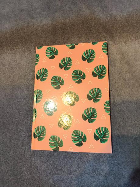 Poznámkový blok, zápisník, 