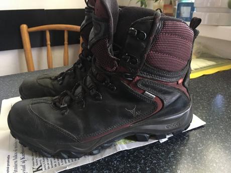 Ecco - clenkova kožena obuv, ecco,40