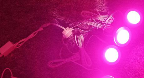 Paulmann 93568 - sada 3x led, 