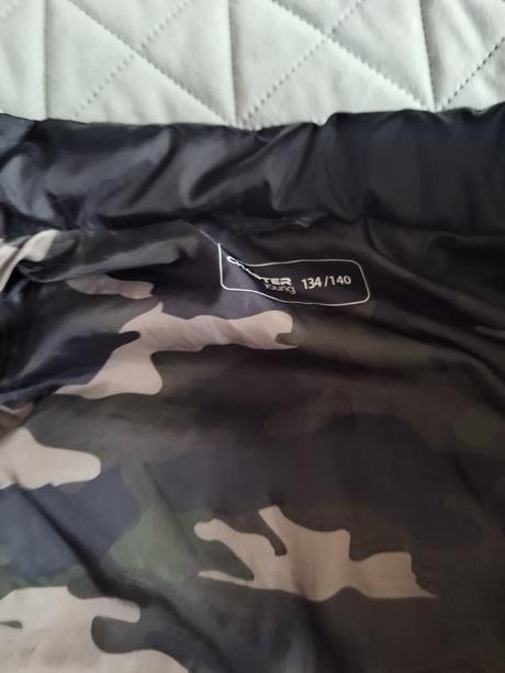 Vesta, chapter young,134