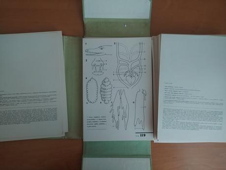 Biologický náčrtník, 