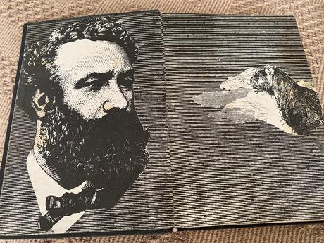 Verne neuveriteľné dobrodružstvá barsacovej výprav,