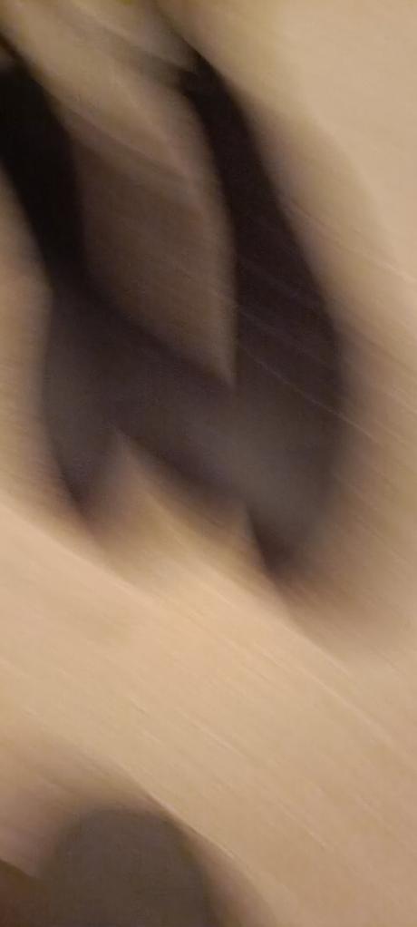 Topánky decathlon na kone, 39