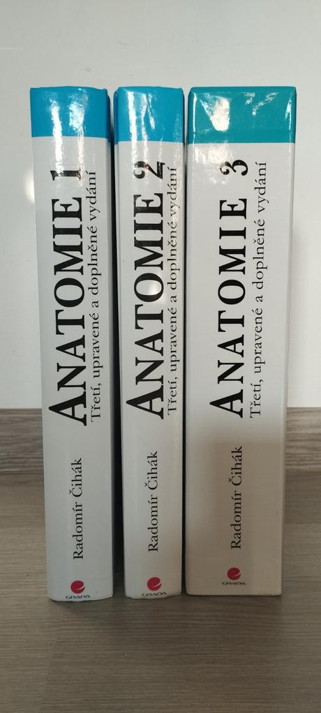 Anatómia, 