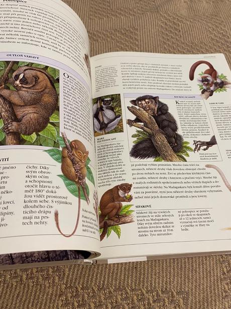 Velká ilustrovaná encyklopedie zvířat savci od a,