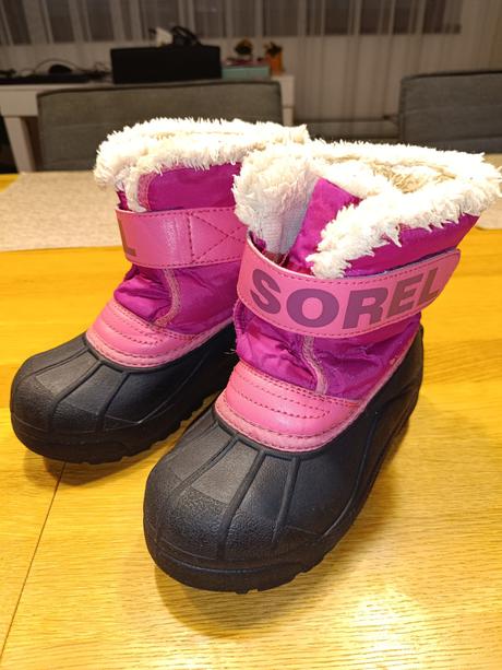 Snehule sorel, sorel,28